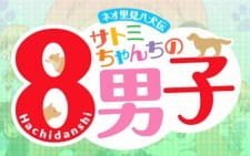 Neo Satomi Hakkenden: Satomi-chanchi no Hachi Danshi