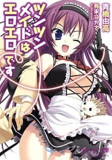 Tsun Tsun Maid wa Ero Ero Desu