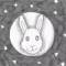 First Rabbit